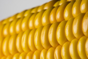 Abstract detail of corn.