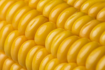 Abstract detail of corn.