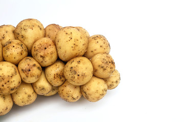 Longkong fruit or Lansium parasiticum is tropical fruit in south east Asia on white background