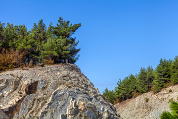 Сосны на скалах © soloviev_andrey