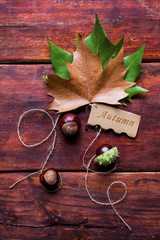 Naklejka na ściany i meble Colorful autumnal background with leaves and chestnuts.Tag with the Words Autumn and a Colorful Autumn Leaf in the Background