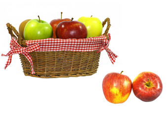 cueillette de pommes