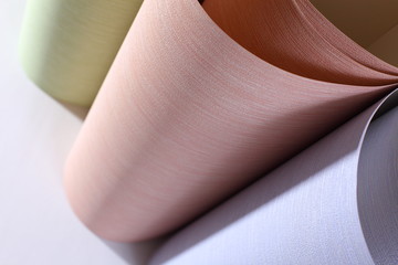 new wallpaper roll in the store. macro 