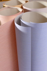 new wallpaper roll in the store. macro 