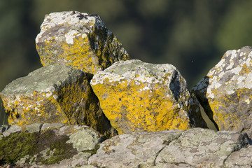 Interesting columnar basalt at Hungary