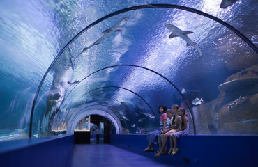 Naklejka premium Family in a water tunnel