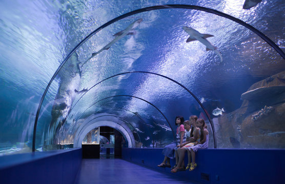 Family in a water tunnel
