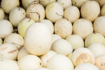 pile of cantaloupe fruit for sale