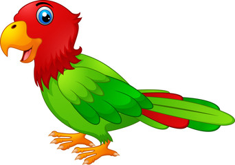 Cute parrot cartoon