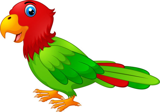 Cute parrot cartoon