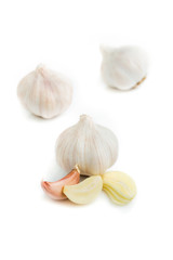 garlic
