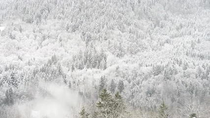 Timelapse of clouds blowing over snow covered Trees - Powered by Adobe