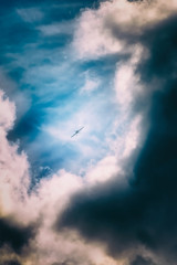 Airplane in storm
