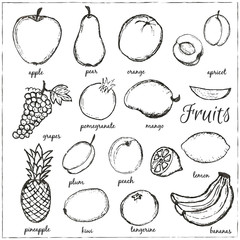 Hand drawn doodle Fruits with name. Vector illustration