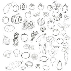 Hand drawn doodle Fruits and Vegetables with name.