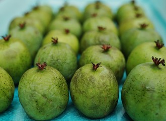 Green baby kiwi berries 