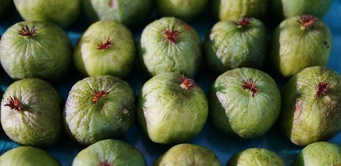 Green baby kiwi berries 