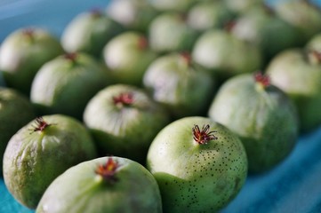 Green baby kiwi berries 