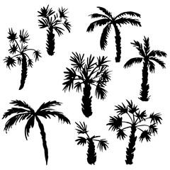 Fototapeta na wymiar set of palm tree silhouettes