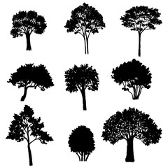 set of tree silhouettes