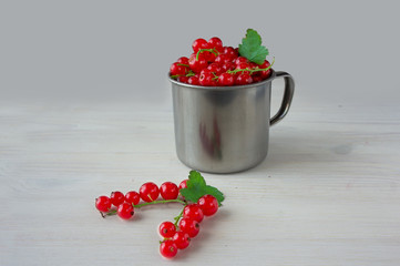 Red currants in a metal mug