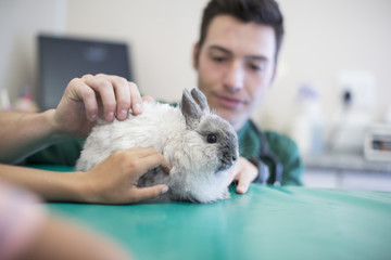 Boy at the veterinarian with a bunny on the exam table