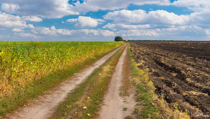 Fototapeta na wymiar Ukrainian agricultural landscape with dirty road among fields at fall season