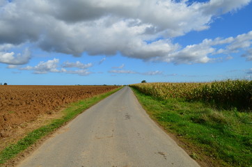 Route de campagne dans la région de Tilly sur Seulles (calvados-Normandie) 