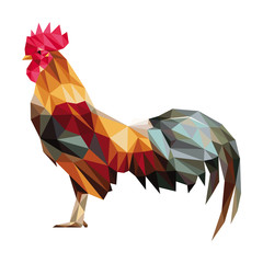Colorful rooster low polygon standing.