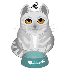 Cat and fly