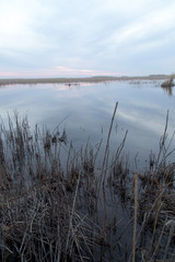 beautiful sunrise on the lake