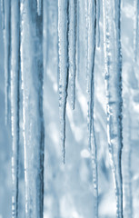 Background of bright transparent icicles in the sunlight