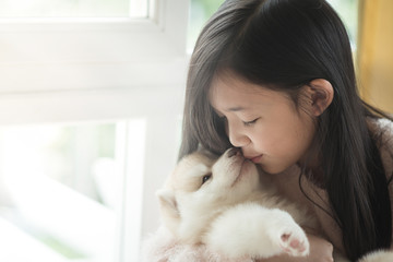 Little asian girl kissing a siberian husky puppy