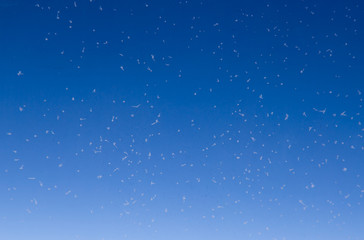 Fototapeta na wymiar Snowflakes on the glass against the blue sky