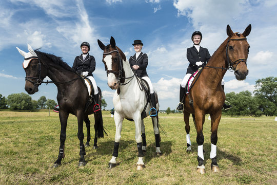 Three riders on their horses on a meadow