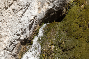 water from a spring in the mountains