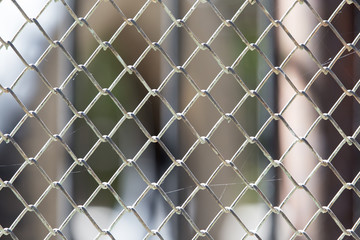 Fototapeta premium Background of the metal mesh on the nature