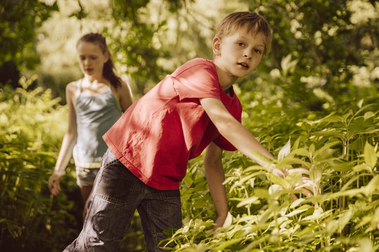 Two children walking through Himalayan Balsam in a forest
