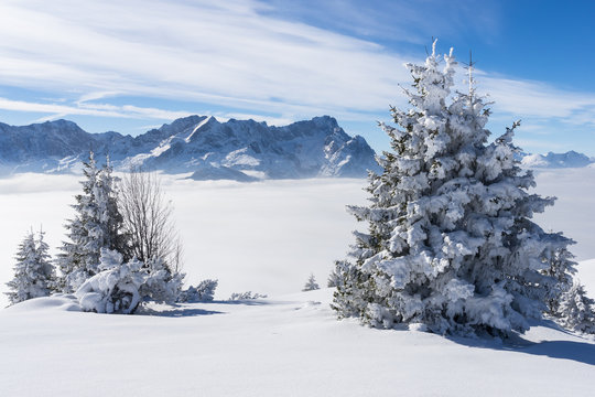 Unber&uuml;hrte Winterlandschaft mit Zugspitze