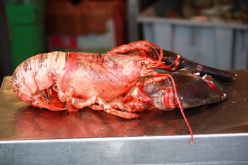 Crabs in the piers of Fisherman's Warf in San Francisco, USA 