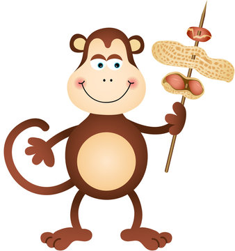 Cute monkey carrying peanuts