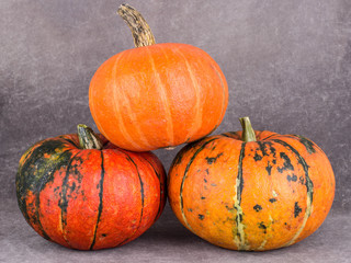 pumpkins