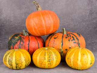 pumpkins