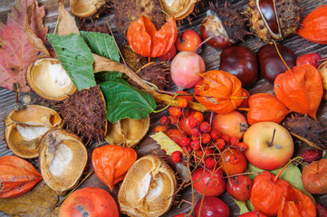 Autumn leaves and fruits