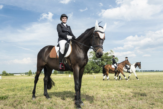 Smiling rider on horse on a meadow