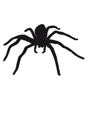 spider big long legs disgusting black