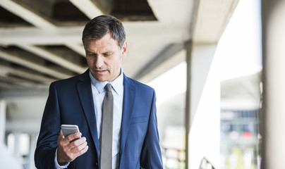 Mature businessman on park deck using mobile phone