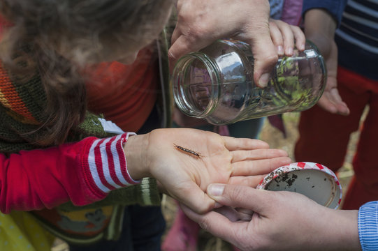 Germany, Children collecting worms in nature