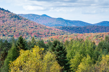 Fall colors