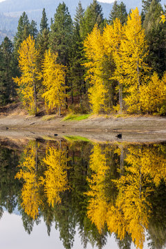 MIrror image of fall colors.